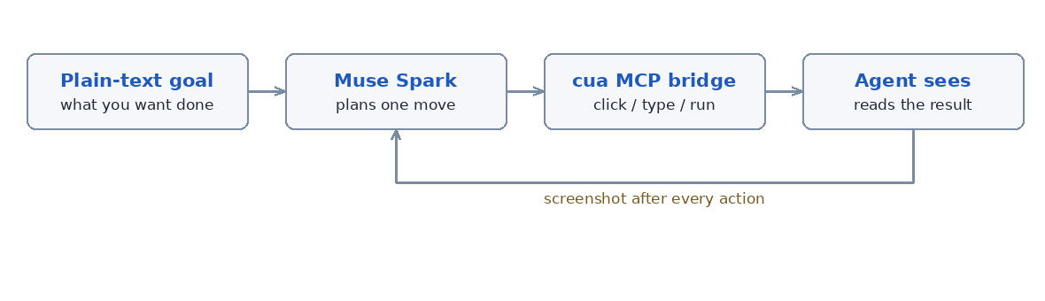 The computer-use loop: goal → Muse Spark plans a move → cua MCP bridge acts → agent sees the result → repeat